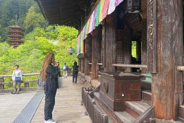 Exclusive Luxury Day Tours Serene Nara — photo 13