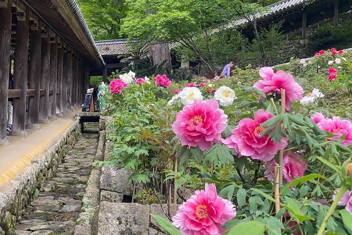 Exclusive Luxury Day Tours Serene Nara — photo 16