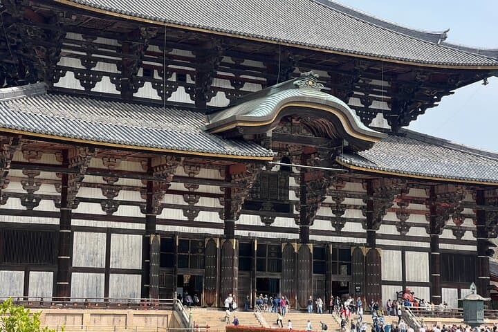 Nara Day Trip from Kyoto with a Licensed Guide — photo 13