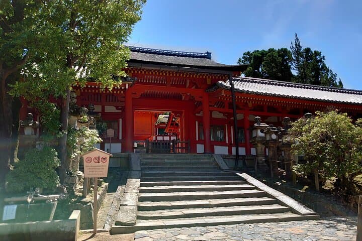 Nara Day Trip from Kyoto with a Licensed Guide — photo 18