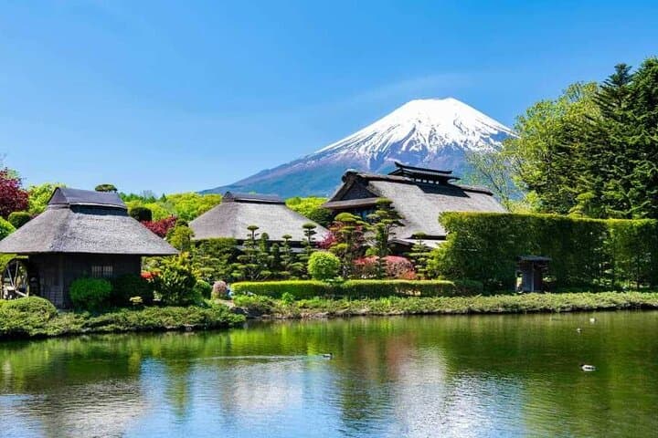 Mt Fuji 5th Station, Oshino Hakkai, Kawaguchiko Matcha Experience — photo 8