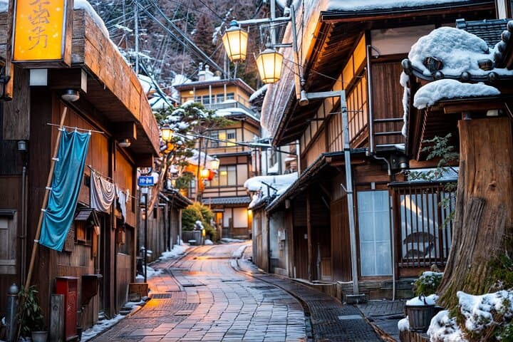 From Tokyo: Nagano Snow Monkey Park Private Tour — photo 9