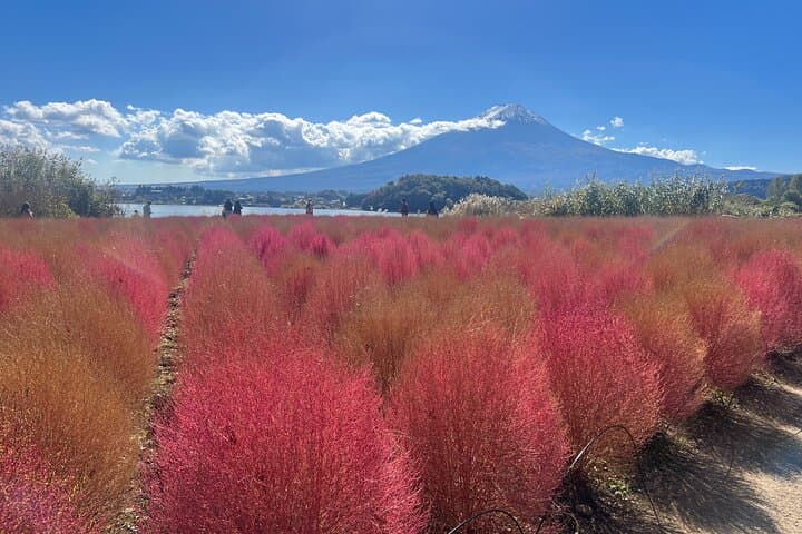 Private Full Day Tour in Mt. Fuji with Pickup — photo 2