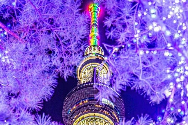 Tokyo Full Day Customize Private City Tour — photo 13