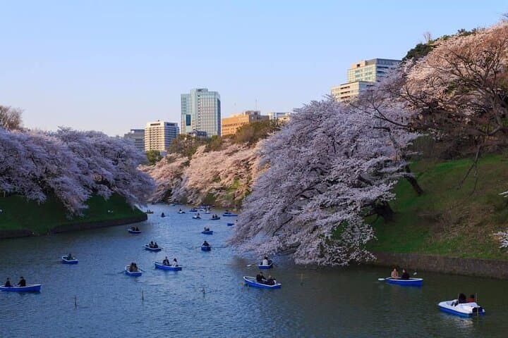 Tokyo Full Day Customize Private City Tour — photo 17