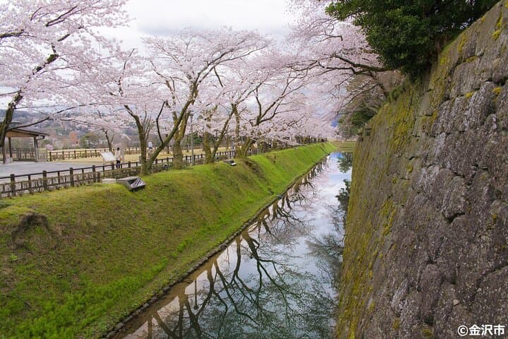 Kanazawa Half-Day Private Tour — photo 8