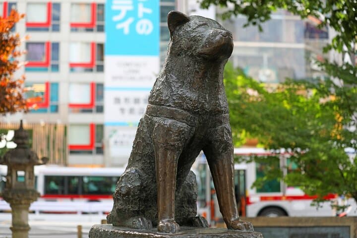 Tokyo Shibuya Crossing & Hidden Streets Walking Tour — photo 3