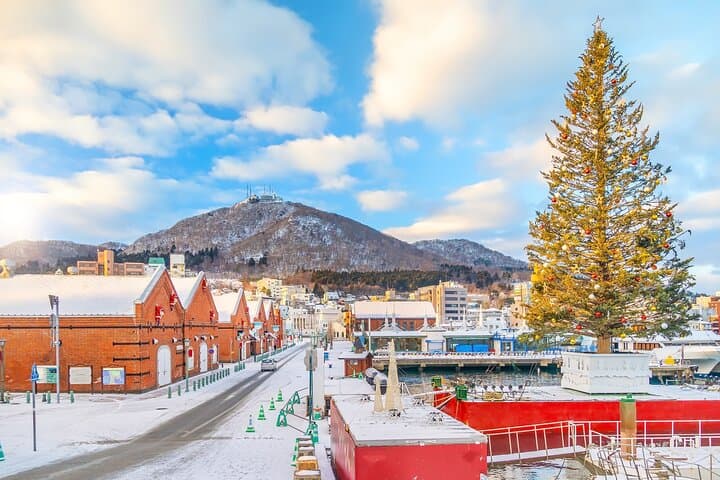 Hakodate Private Customizable 6-Hour Tour — photo 5