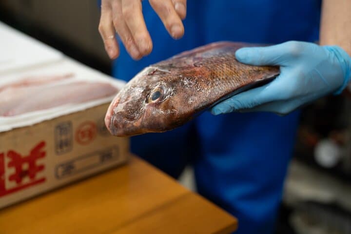 Fish Cutting workshop in Kyoto Japan — photo 8