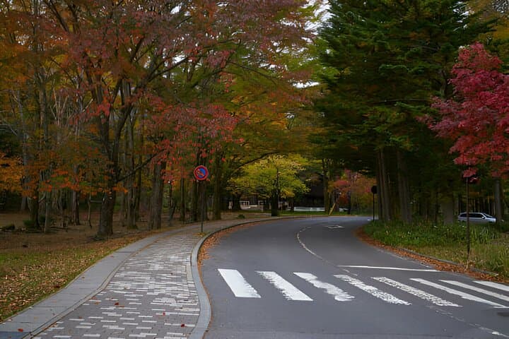 Nikko World Heritage Full Day Trip — photo 4