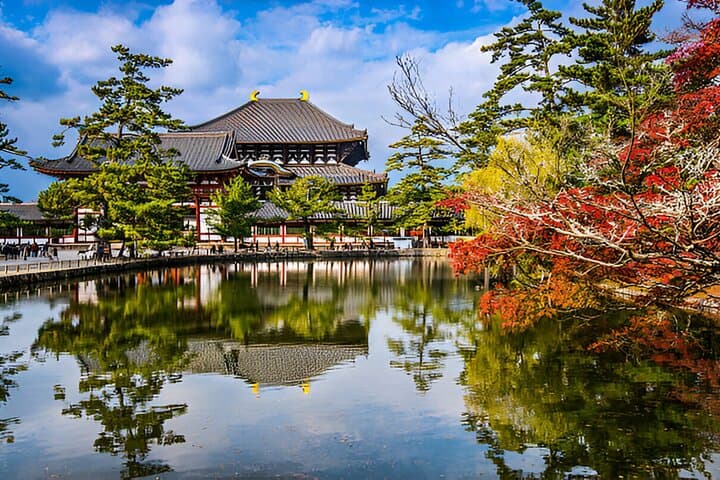 Kyoto & Nara Private Day Tour — photo 15