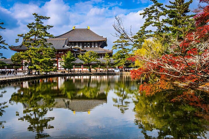 3 Days Private Osaka Kyoto and Nara Tour With English Driver — photo 16
