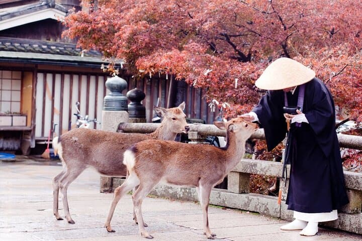 3 Days Private Osaka Kyoto and Nara Tour With English Driver — photo 3