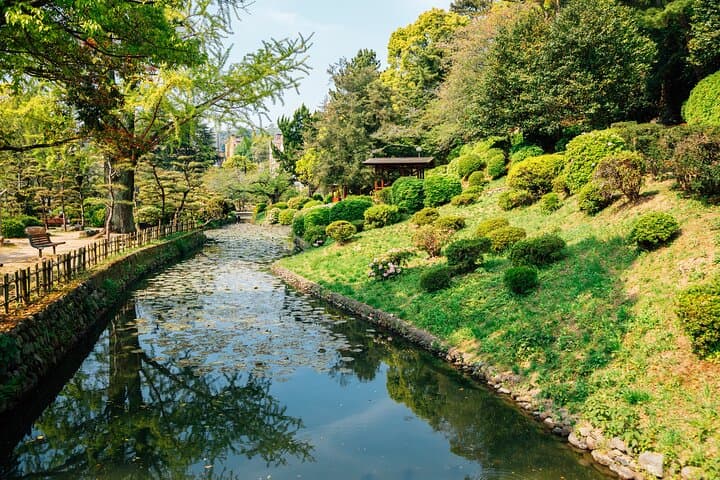 Matsuyama Private Customizable Half Day Tour — photo 3