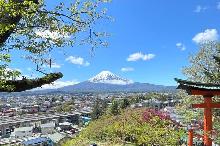 Mt FUJI - Panoramic Tour w/ Hoto Lunch, JP Sake & Onsen tatto OK! — photo 19