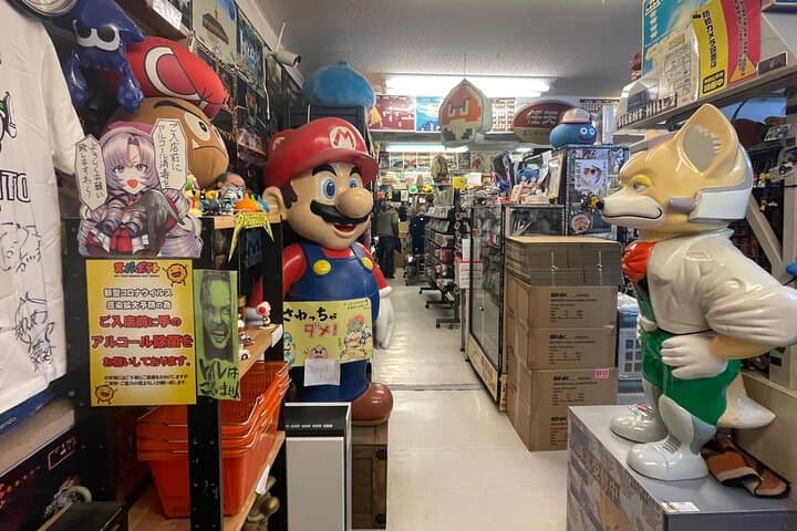 Akihabara - Discover the Otaku Culture & Experience the Maid Cafe — photo 15
