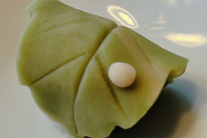 Let's make Wagashi at private home in Yokohama, suburban Tokyo — photo 13