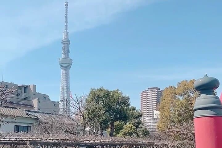 2 Hour Private Tokyo Downtown Kameido Good Fortune Tour — photo 9