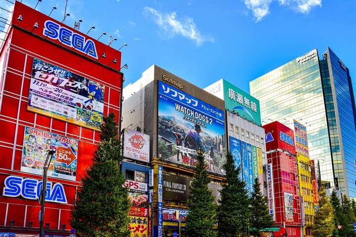 Private Walking Tour in Tokyo Cultural Heritage Route — photo 2