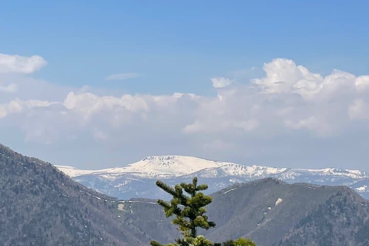 Green Season Half Day Hikes in Sapporo and Hokkaido with Onsen — photo 10