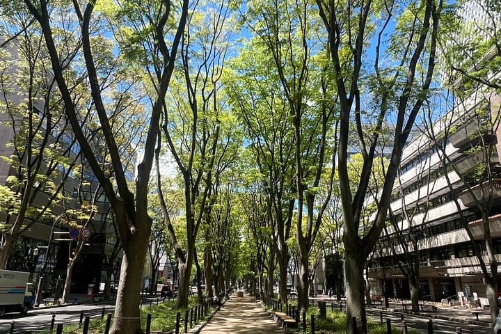 Local Foodie Tour in Sendai, wander around the gourmet town — photo 15