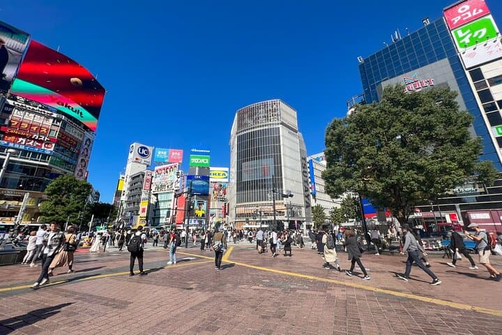 Japanese Food History and Art Tour with Licensed Guide — photo 7