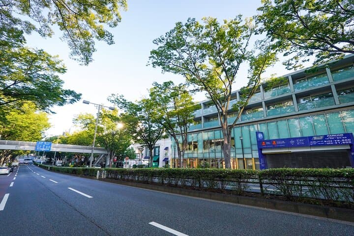 Tokyo Best West Part Tour by public transportation — photo 9