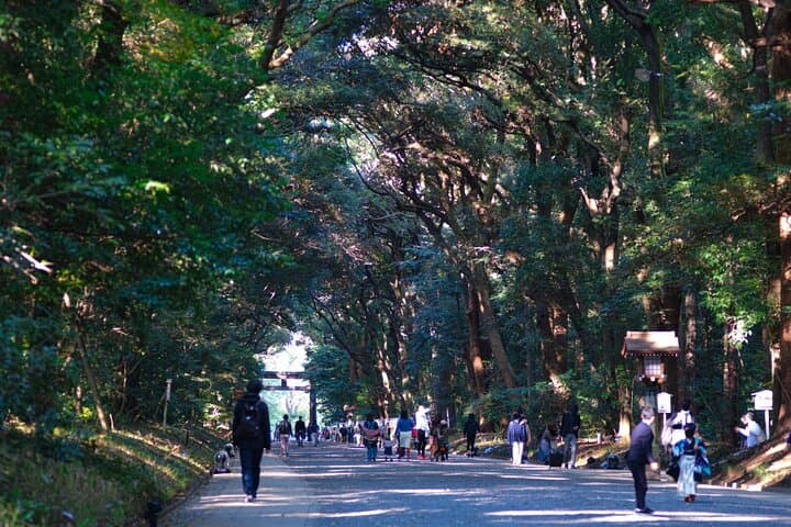 Tokyo Best West Part Tour by public transportation — photo 7