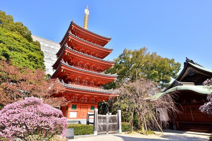 Fukuoka Your Way: 100% Customisable Private Tour with Local Guide — photo 8