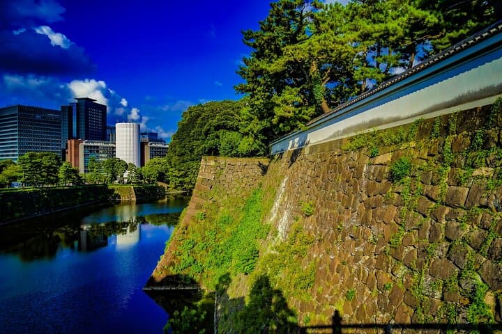 Japanese Food History and Art Tour with Licensed Guide — photo 17