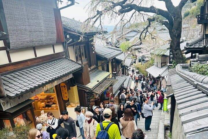Kyoto-Nara Adventures Private Tour With Hotel Pick Up — photo 6