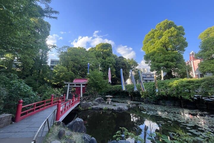 Walking Tour in Yanaka Nezu and Sendagi: Tea Ceremony & Old Tokyo — photo 11