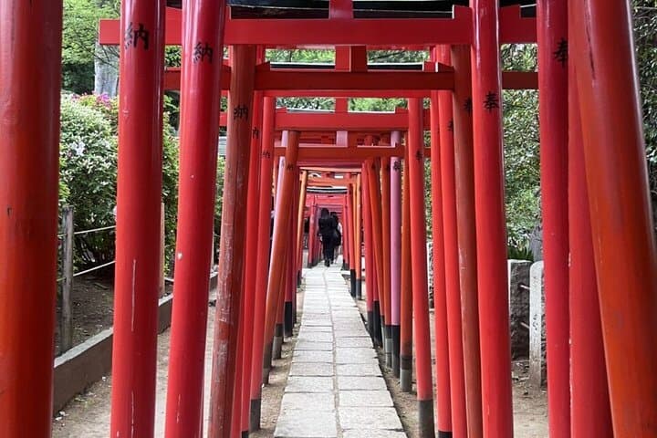 Walking Tour in Yanaka Nezu and Sendagi: Tea Ceremony & Old Tokyo — photo 5