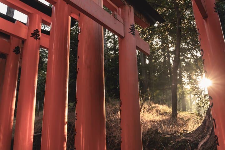 TREASURES of Kyoto: Fushimi Inari, Kiyomizu Temple, and more! — photo 3