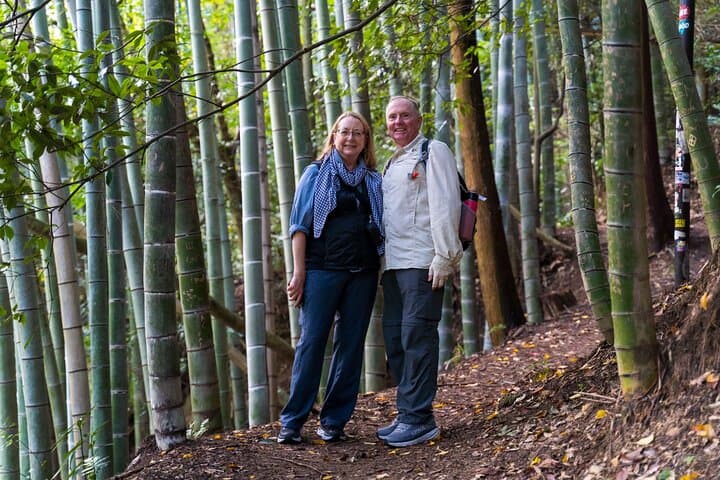 TREASURES of Kyoto: Fushimi Inari, Kiyomizu Temple, and more! — photo 10