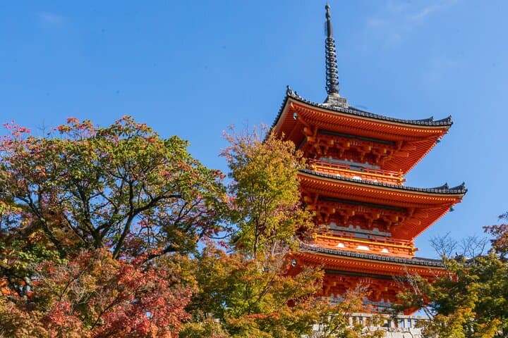 Private Early Bird Tour of Kyoto! — photo 11