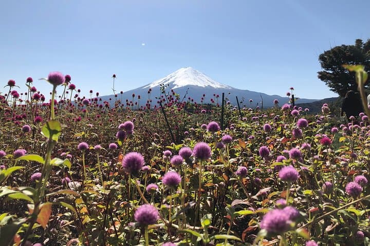 Mount Fuji Full Day Sightseeing Tour from Tokyo — photo 5
