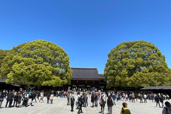 "Enjoy Tokyo Tour" Harajuku Meiji-jingu & Delicious Sake Tasting — photo 2