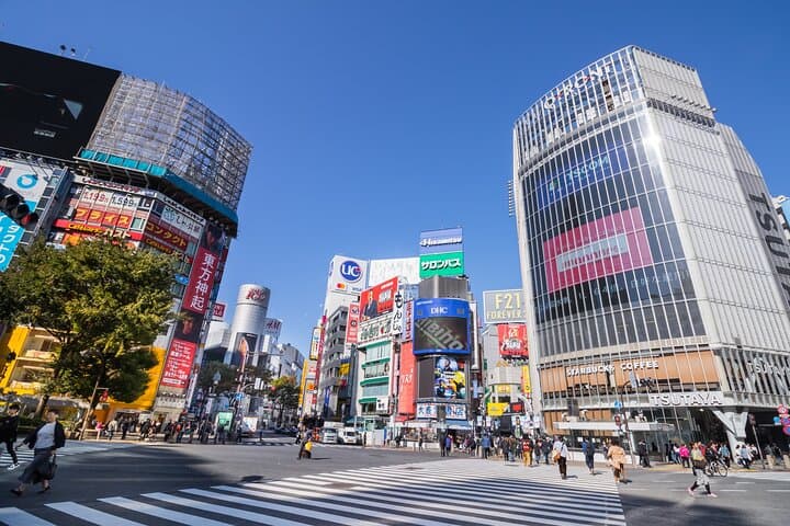 Tokyo 7hr Tour Licensed Guide & Vehicle: NRT Airport Drop Off — photo 1