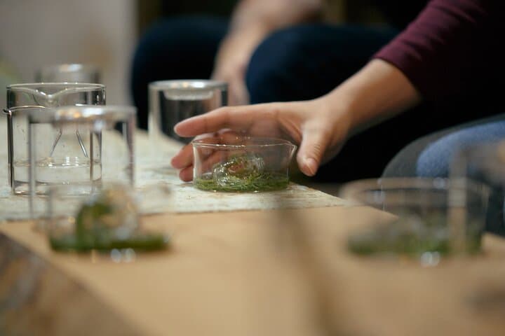Tokyo Japanese Matcha, greentea ＆ Meditation Experience in Japan — photo 18