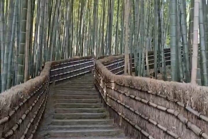 Full Day Private Car Tour in Kyoto — photo 8