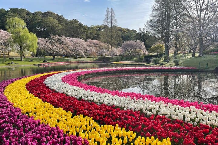 Hamamatsu Flower Park & Lake Hamana Private Tour with Public Bus — photo 3