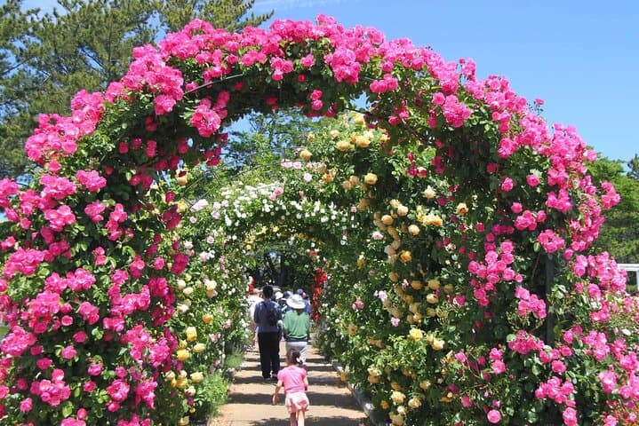 Hamamatsu Flower Park & Lake Hamana Private Tour with Public Bus — photo 5