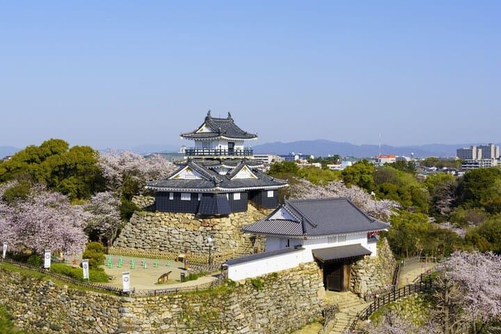 Hamamatsu Flower Park & Lake Hamana Private Tour with Public Bus — photo 6