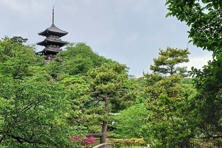 Guided History & Nature Exploration in the Yokohama Hill Area — photo 7
