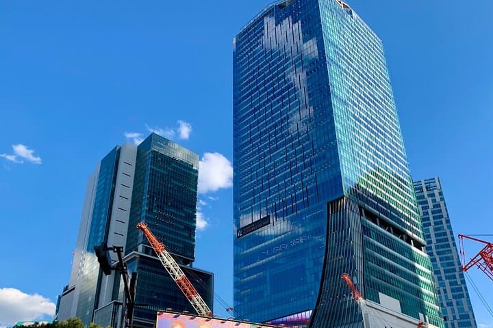 8-hour Tokyo Private Tour, Experience Modern Japan — photo 1