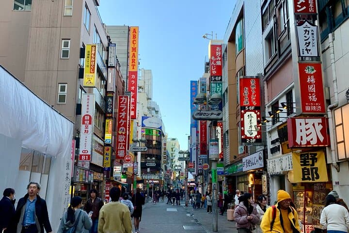 8-hour Tokyo Private Tour, Experience Modern Japan — photo 2