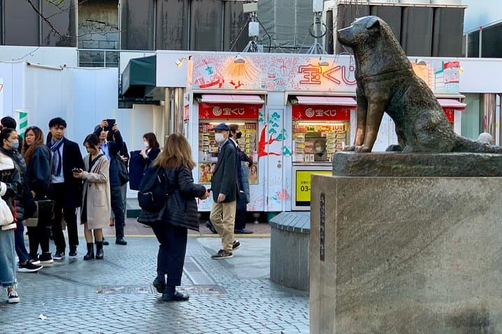 8-hour Tokyo Private Tour, Experience Modern Japan — photo 3