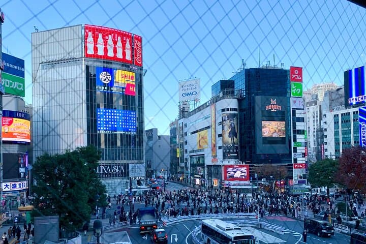 8-hour Tokyo Private Tour, Experience Modern Japan — photo 6