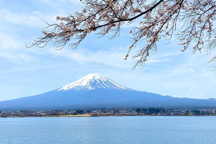 Full Day Private Tour to Mt Fuji by Luxury Vehicle — photo 6